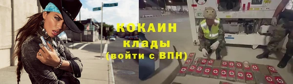 прущие крисы Белокуриха