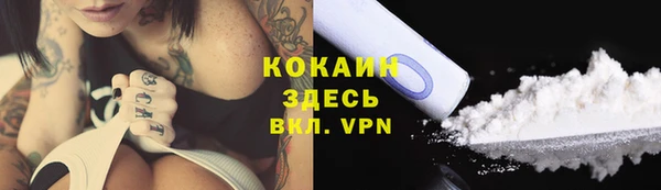 прущие крисы Белокуриха