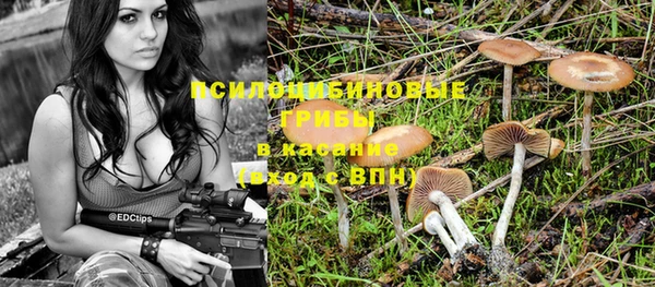 эйфоретик Белоозёрский