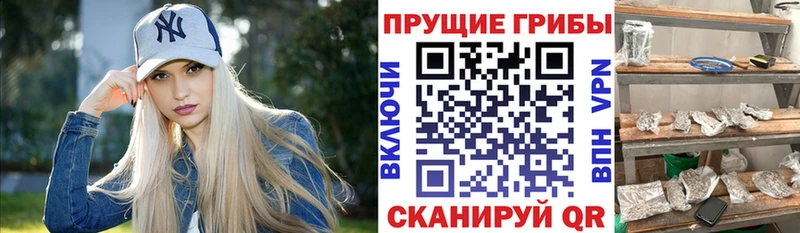 ОМГ ОМГ маркетплейс  Новосибирск  Псилоцибиновые грибы мухоморы 